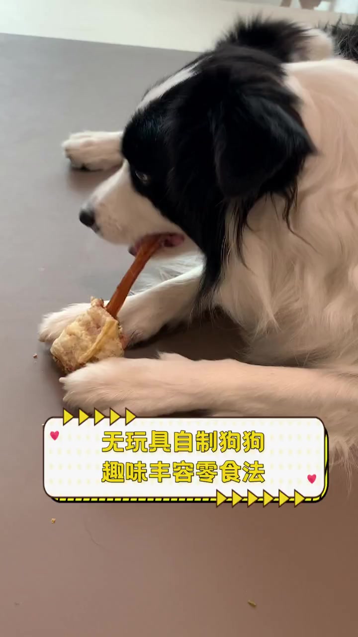 无玩具自制狗狗趣味丰容零食法