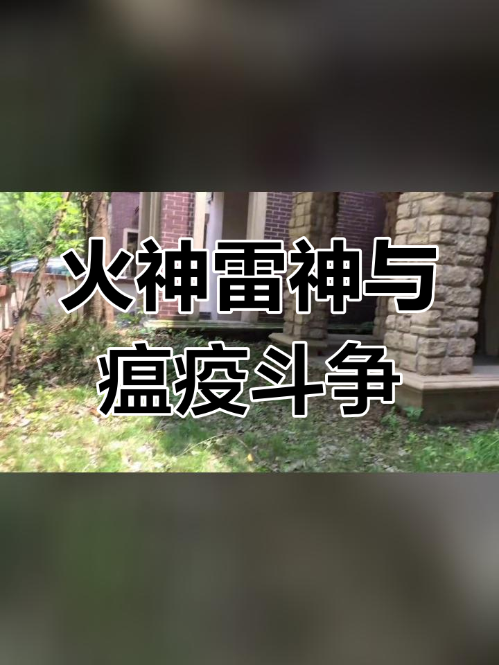 火神雷神战瘟神图片