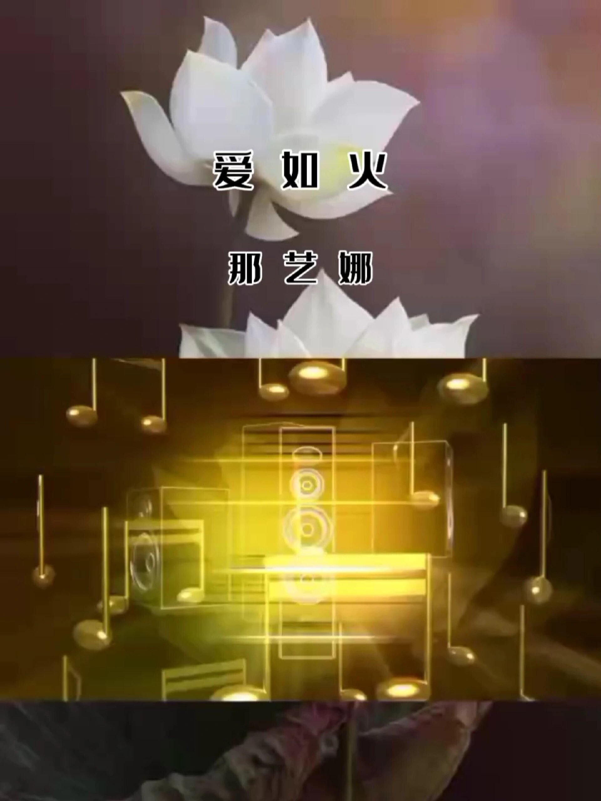 爱如火（爱如火 歌曲）〔爱如火爱如火歌曲〕