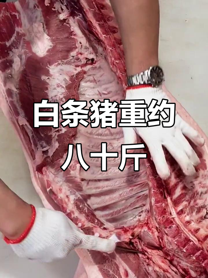 80斤白条猪肉分割,五花肉,里脊一应俱全