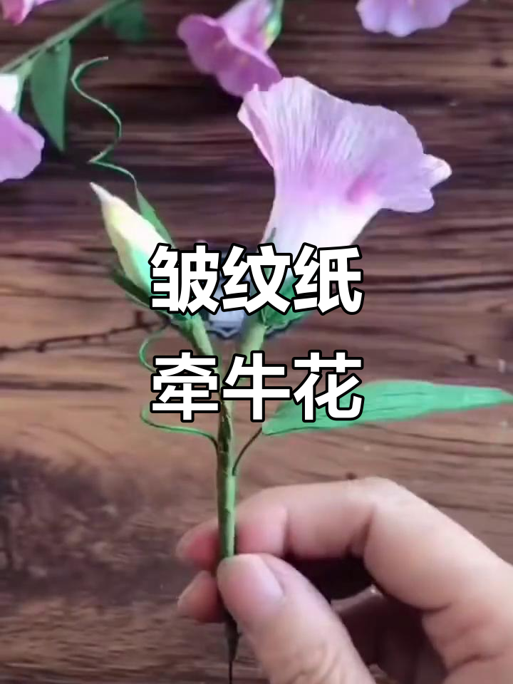 皱纹纸牵牛花制作教程,简单步骤教你做美丽花朵