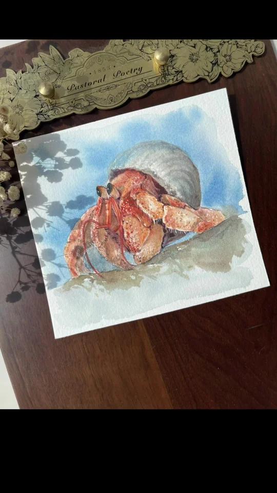 水彩寄居蟹|萌趣寄居蟹等你来画