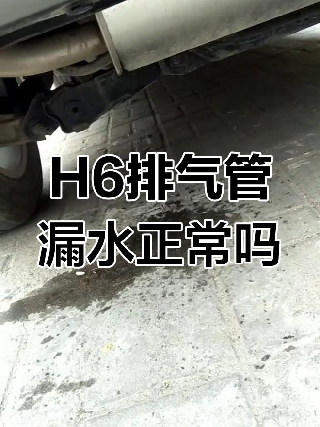 h6排气管滴水图片