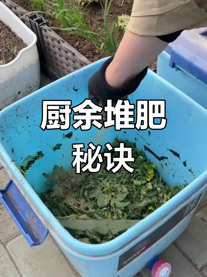 厨余垃圾变肥料,em菌加速发酵,无异味更环保