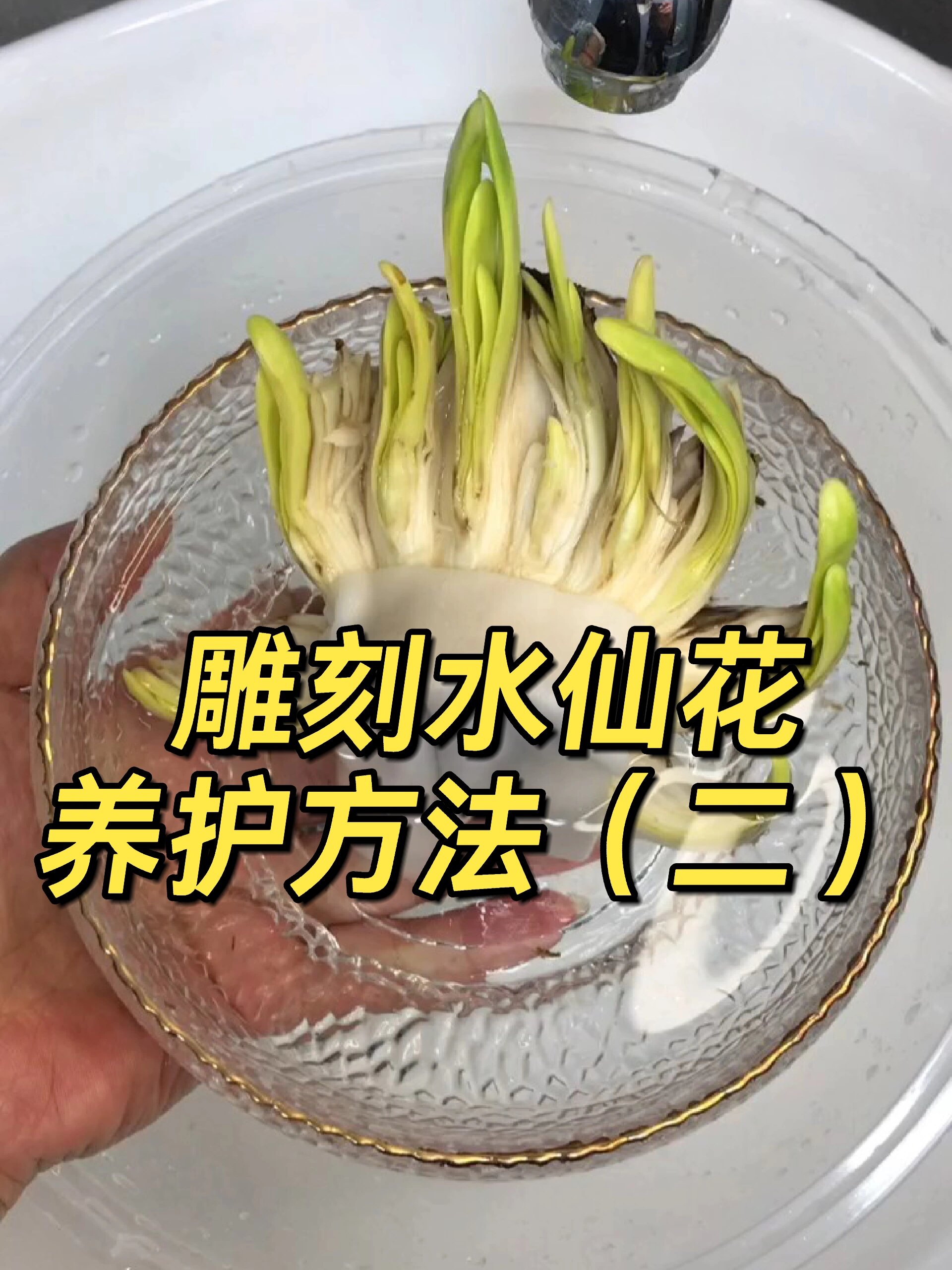 水仙花雕刻方法图片