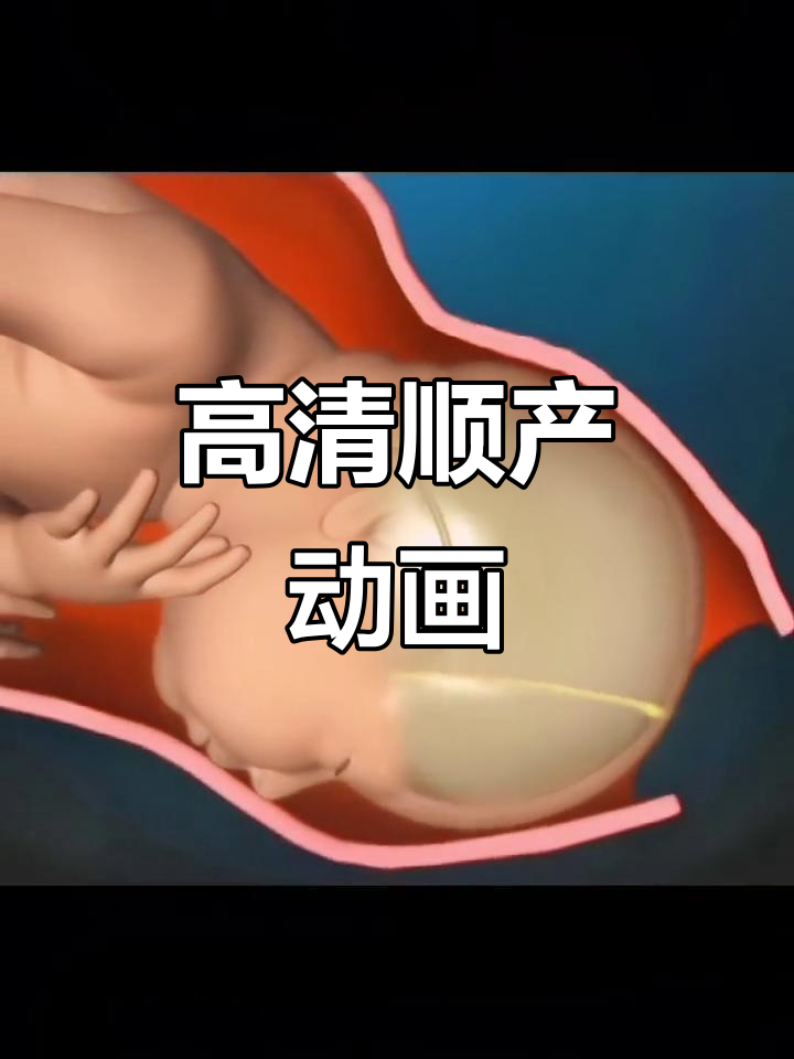 3d高清顺产全过程,准妈妈必看!
