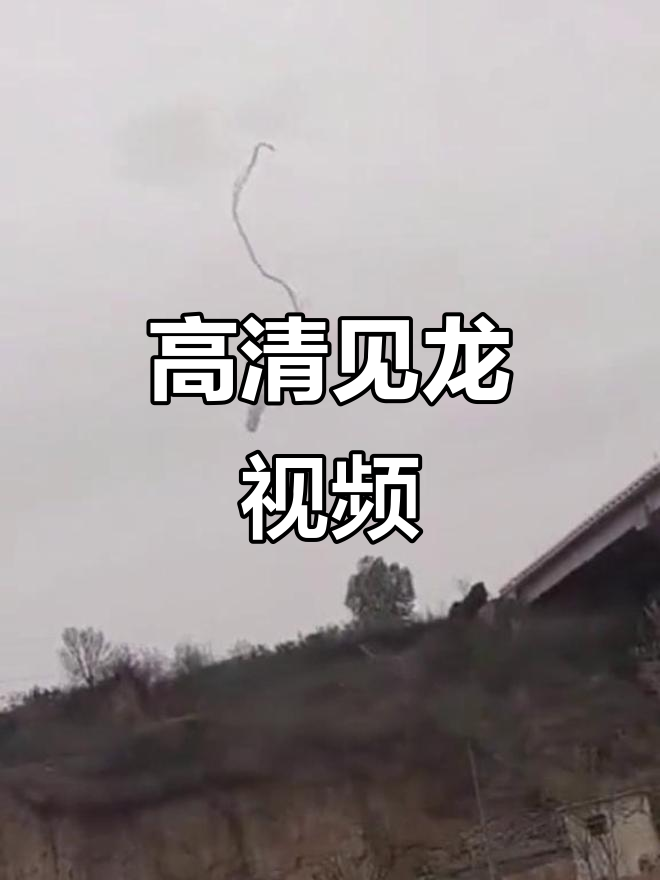 西安龙的真实面目,高清视频揭秘