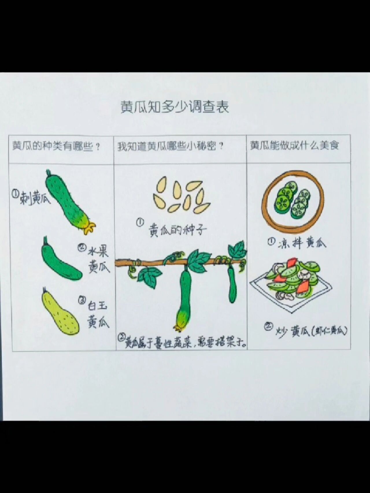 —"黄瓜知多少"调查表