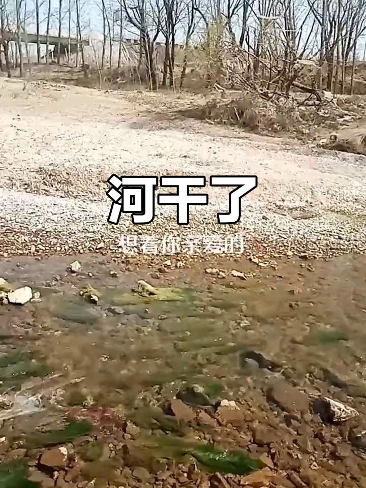 河流干涸,生态危机!