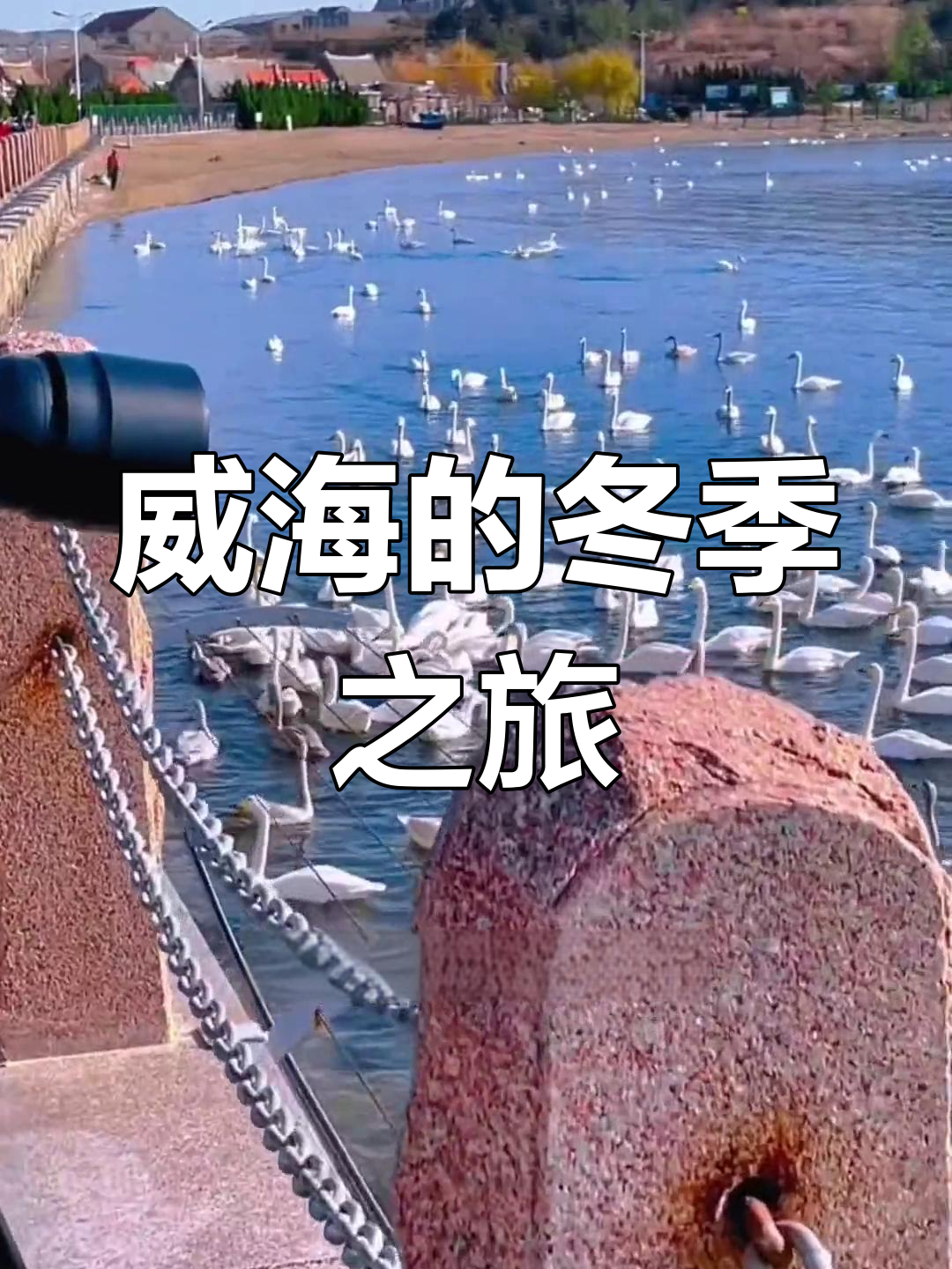 威海春节免费旅游景点图片