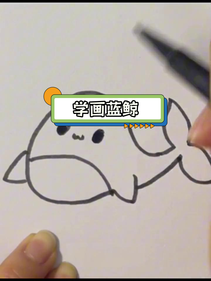蓝鲸简笔画教程,轻松学会画大鲸鱼