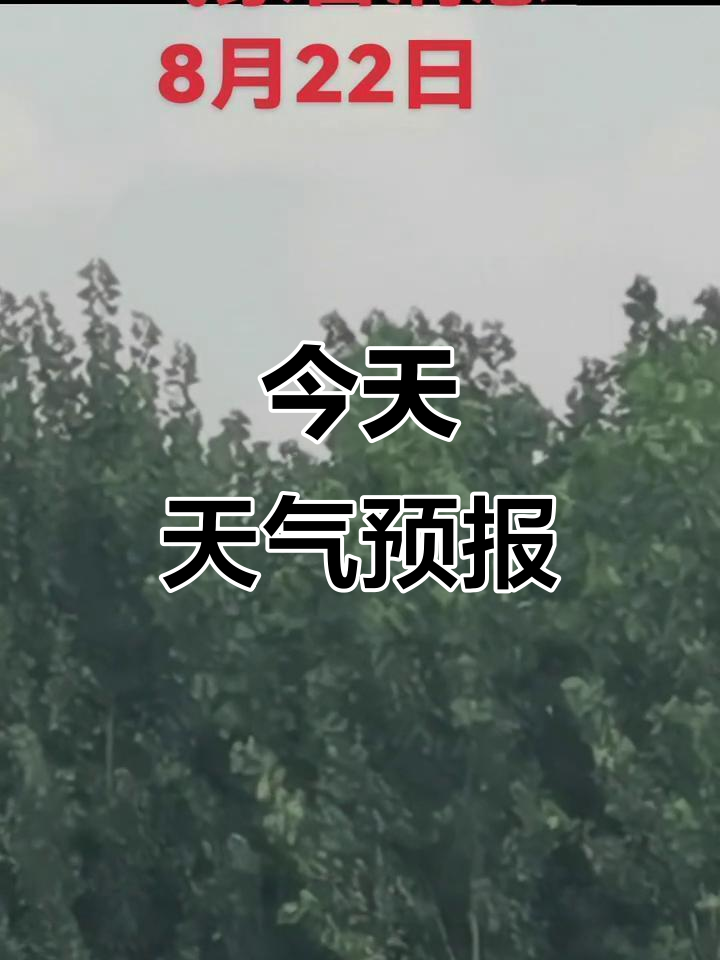 金城镇天气预报预报 金城镇天气预报预报