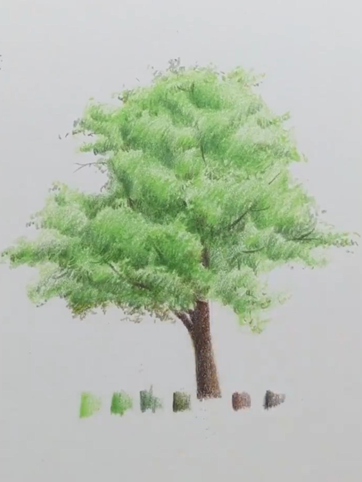 一分钟教你大树彩铅教程