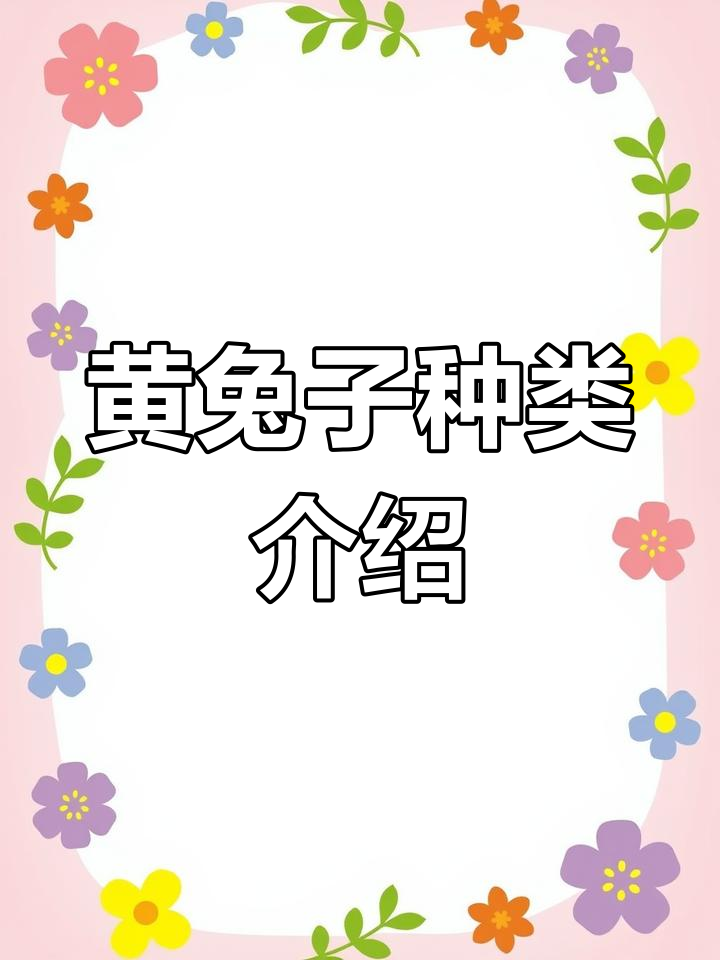 虎皮黄兔品种解析