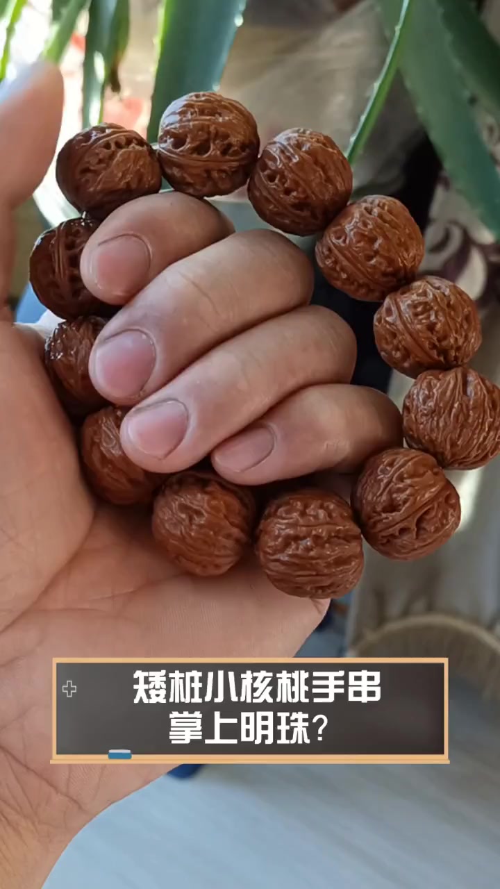 矮桩小核桃手串,掌上明珠?