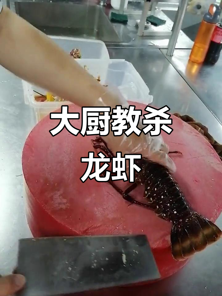 专业大厨教你轻松杀龙虾,技巧全揭秘