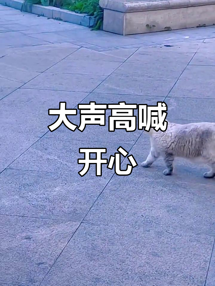 快乐就像这样,一起大声喊出来!