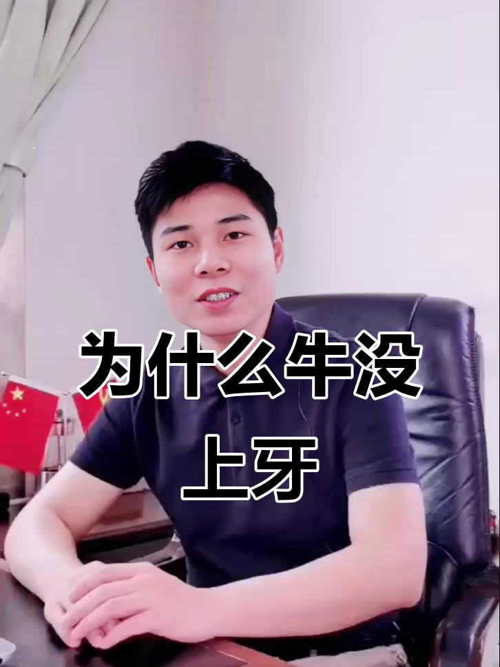 牛为什么没有上牙齿的原因为什么在线
