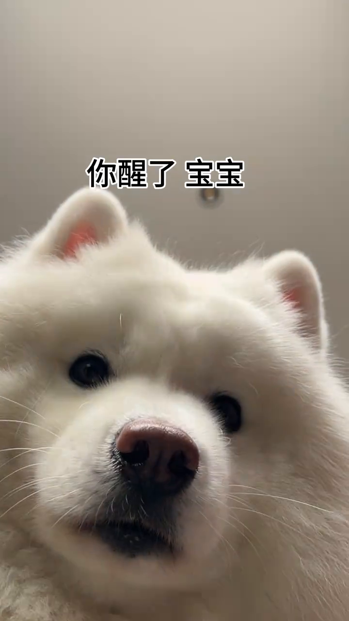 宝宝你醒啦!