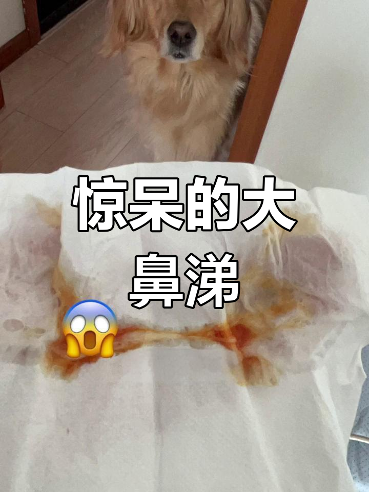 大鼻涕竟然这么吓人