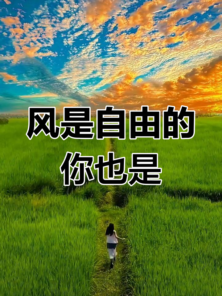 自由的风,自由的你也一样