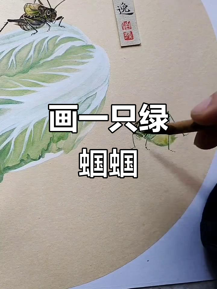墨绿色蝈蝈的生动绘画,细节满满