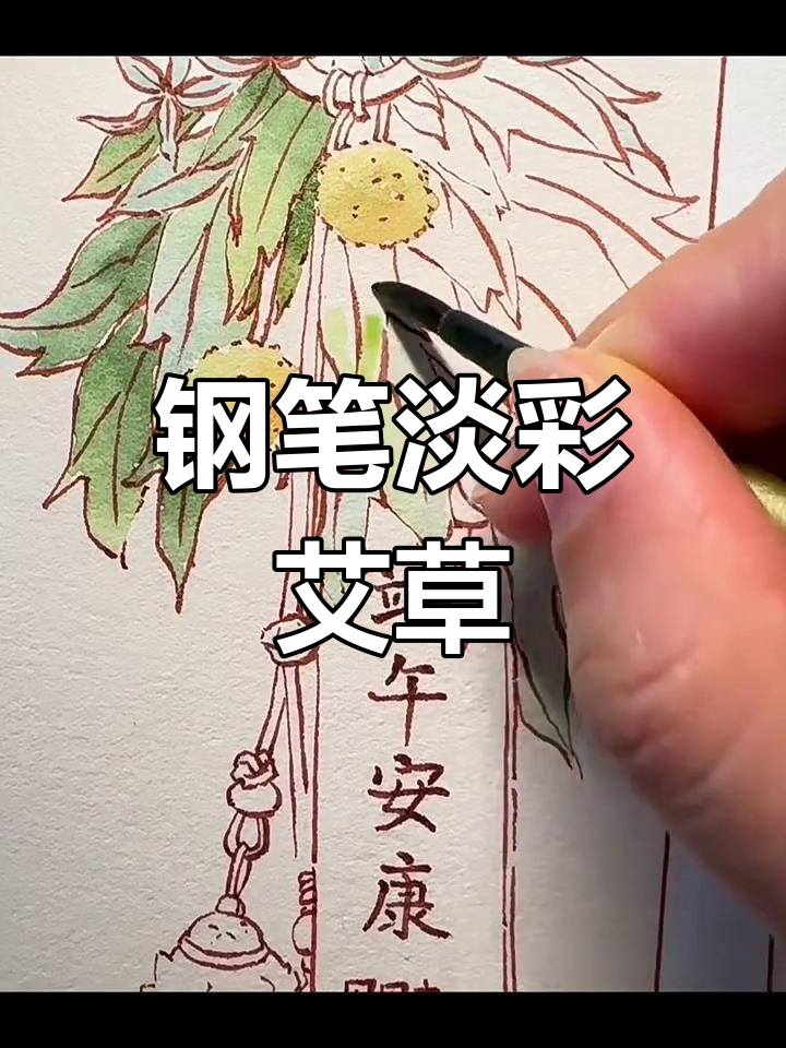 用钢笔淡彩画艾草,清新自然的感觉