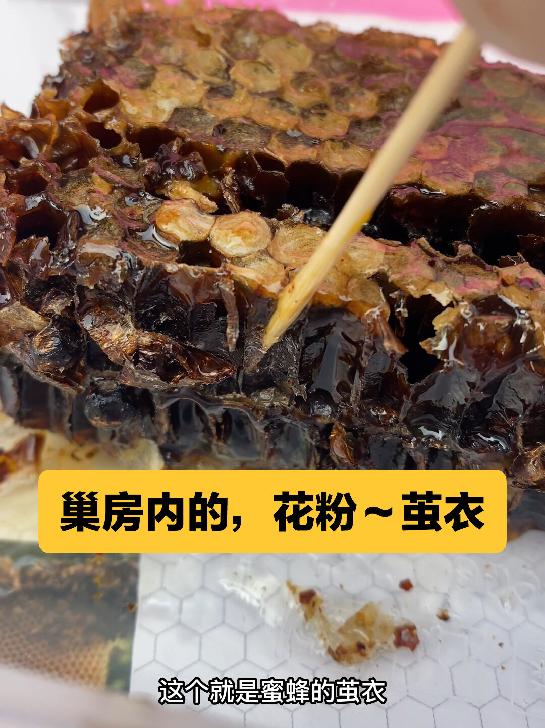 蜂巢房内的花粉,和蜜蜂的茧衣