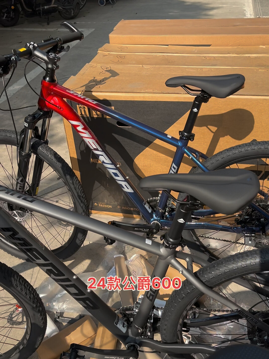 24 款美利达公爵 600 四个配色全部集齐