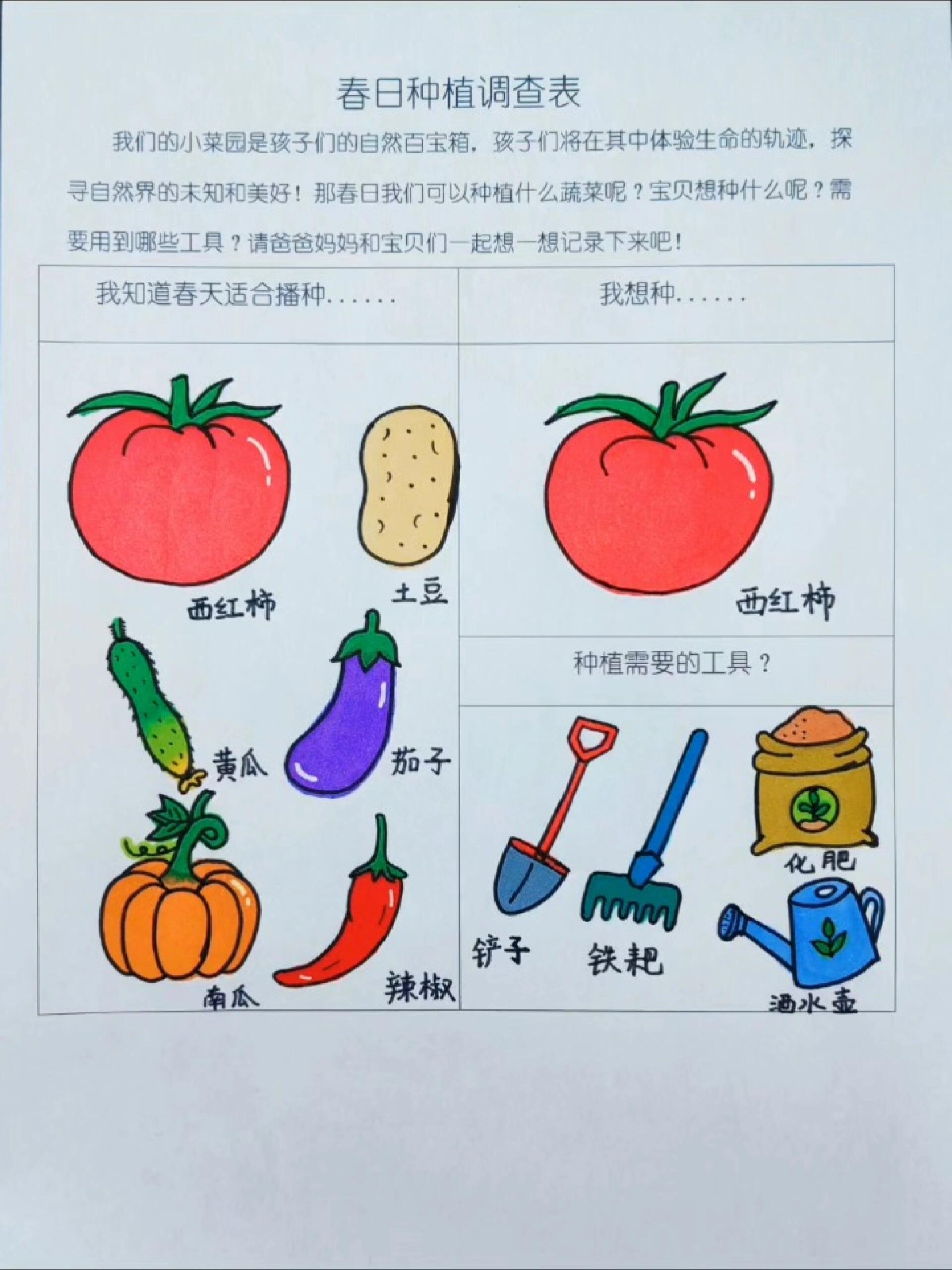 种植调查表图片图片