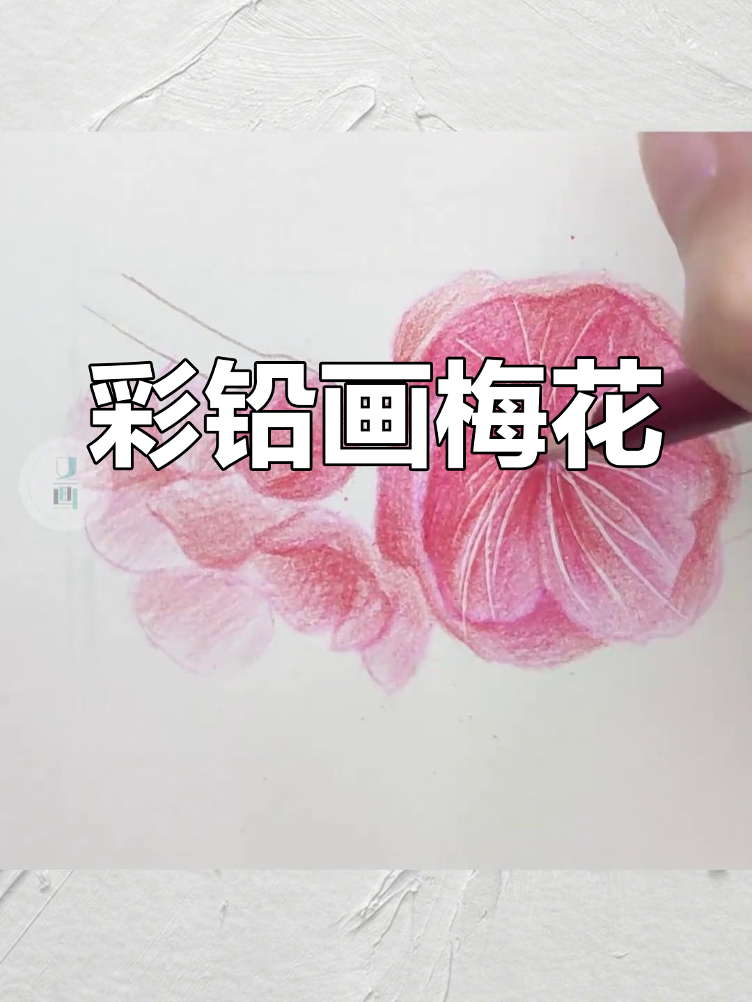 梅花彩铅画教程图片