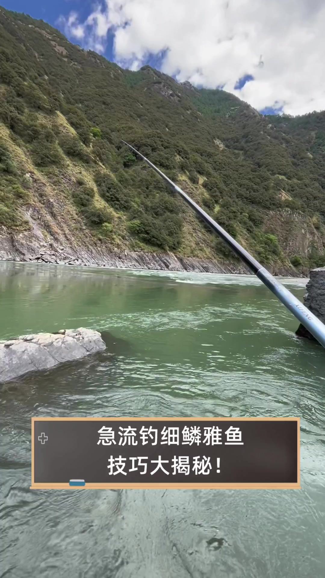 江河流水钓细鳞鱼钓法图片