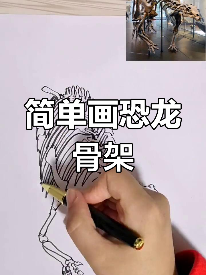 快速掌握恐龙骨架速写技巧,轻松画出复杂结构