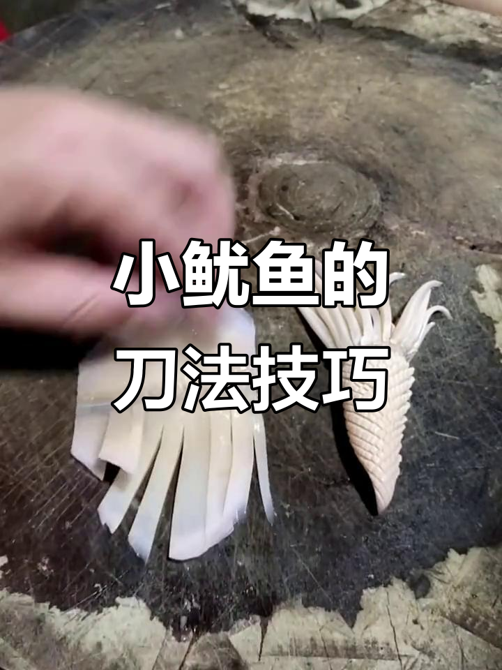 轻松掌握鱿鱼头切法,教你如何快速切成小段