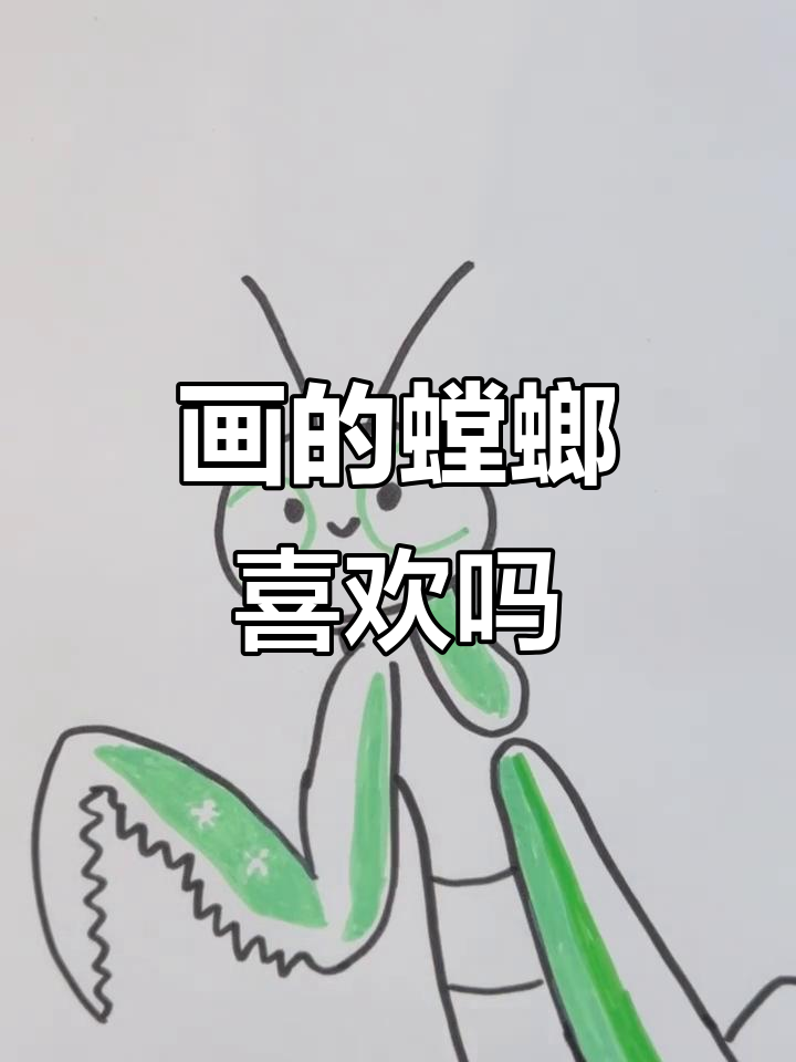 今天画了一只螳螂,细节满满,超可爱!