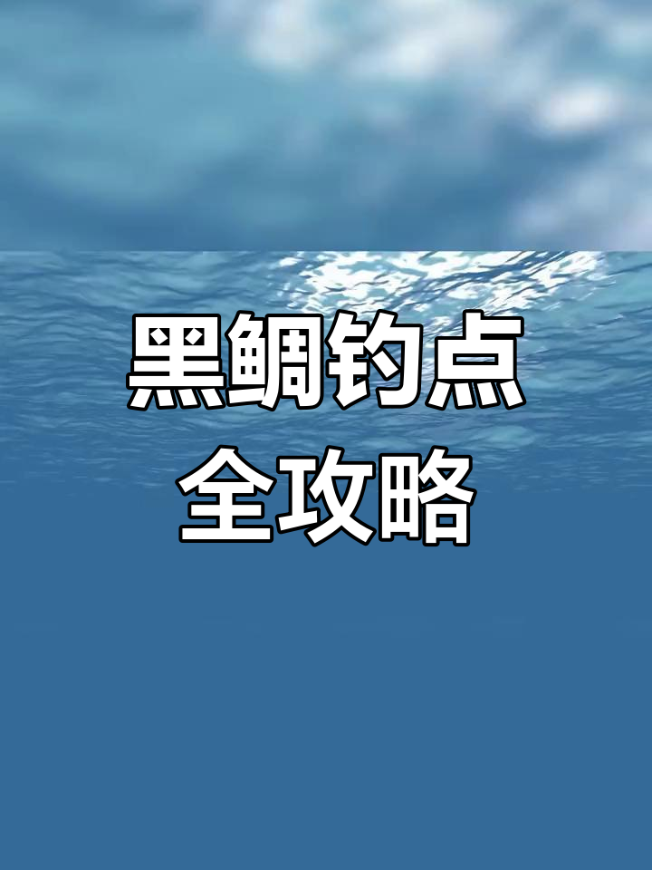 5.4矶钓竿钓黑鲷技巧(矶钓黑鲷用几号竿)