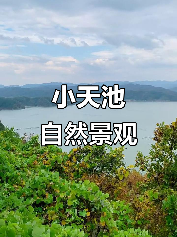 宽甸绿江小天池:探秘神秘的自然美景