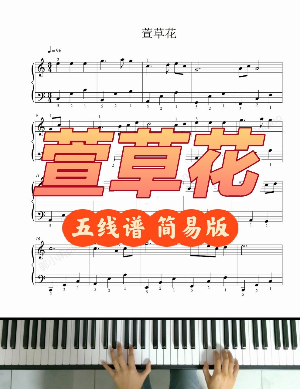 歌曲萱草花钢琴五线谱图片