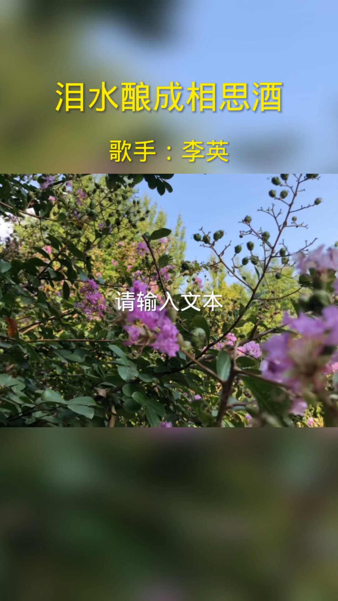 歌手李英演唱的歌曲(淚水釀成相思酒)好歌