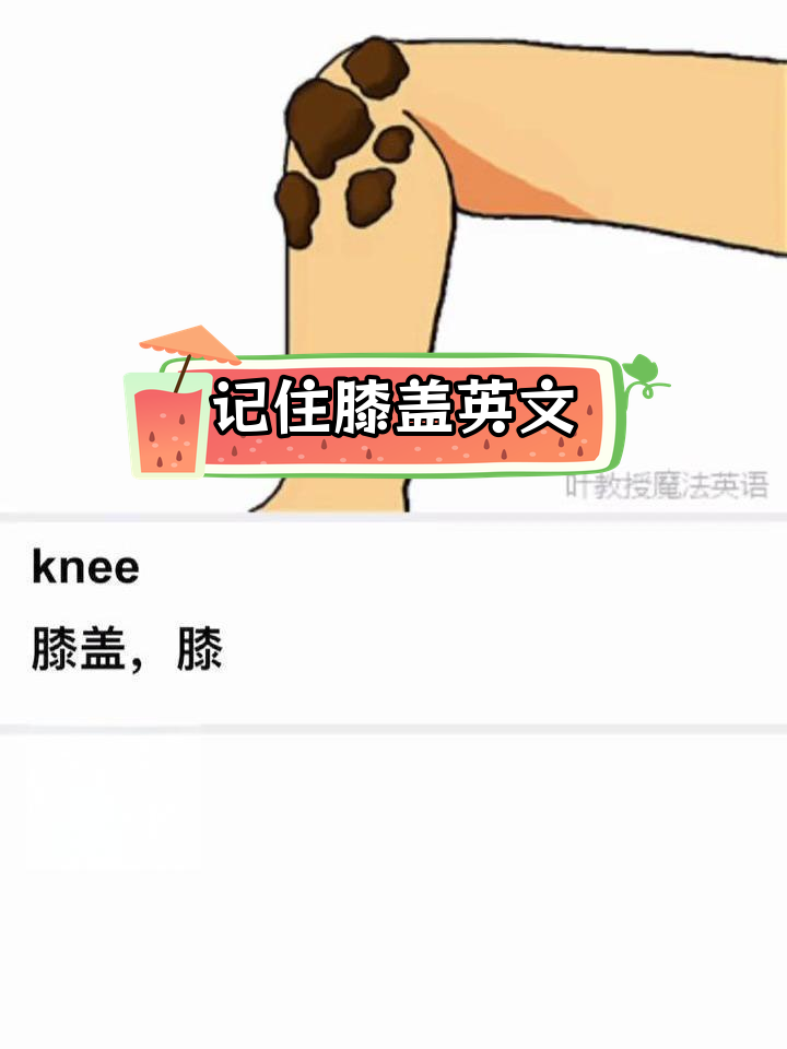 膝盖的英语怎么说?