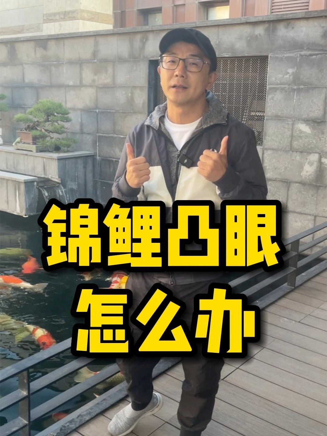 锦鲤凸眼了怎么办?