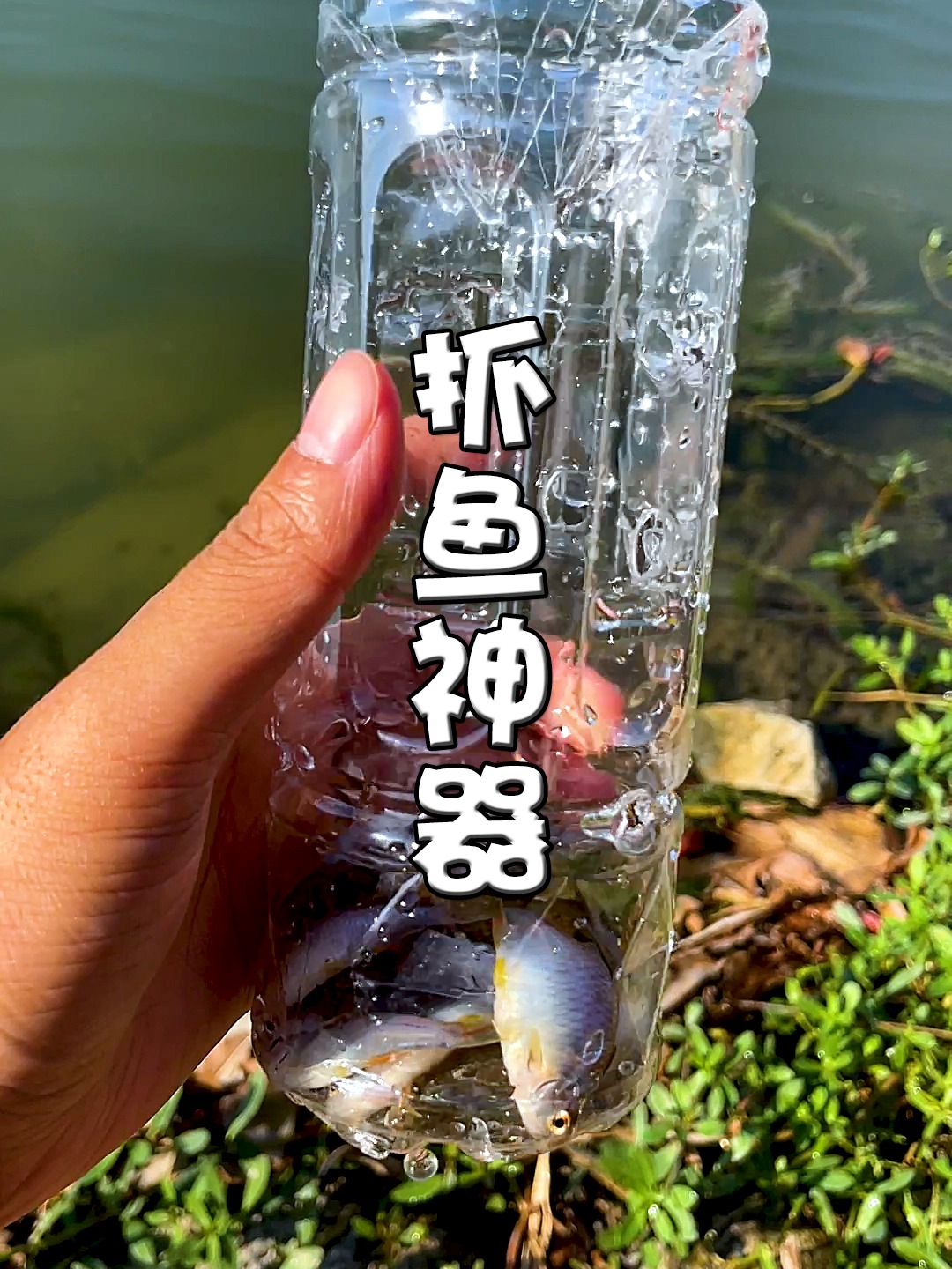 1分钟简单做一个抓鱼神器 试试效果去!