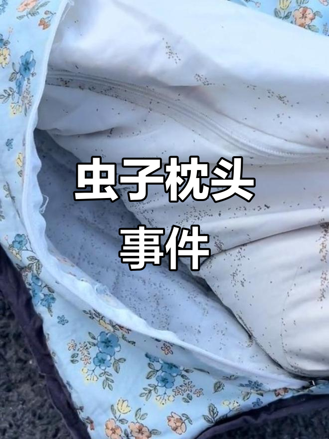 枕头半年就长虫,商场无动于衷,商家撤柜,真是气愤!