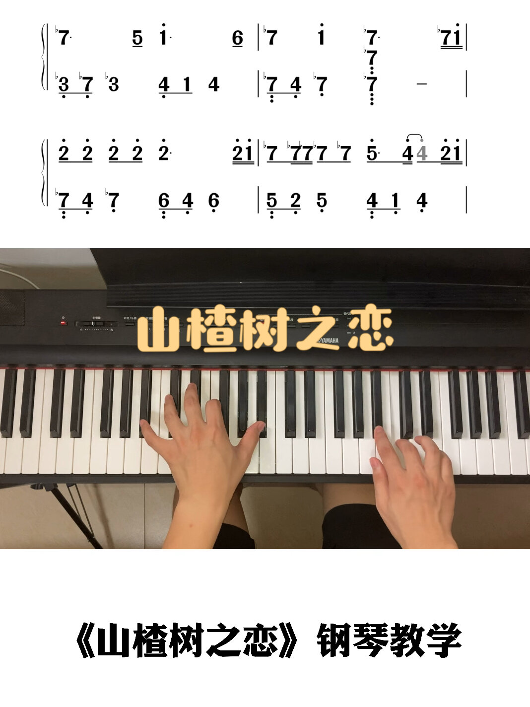 小二度的歌曲简谱图片