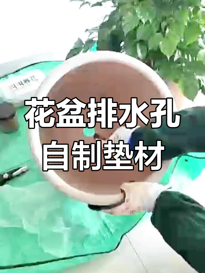 自制花盆排水孔堵材,简单又实用!