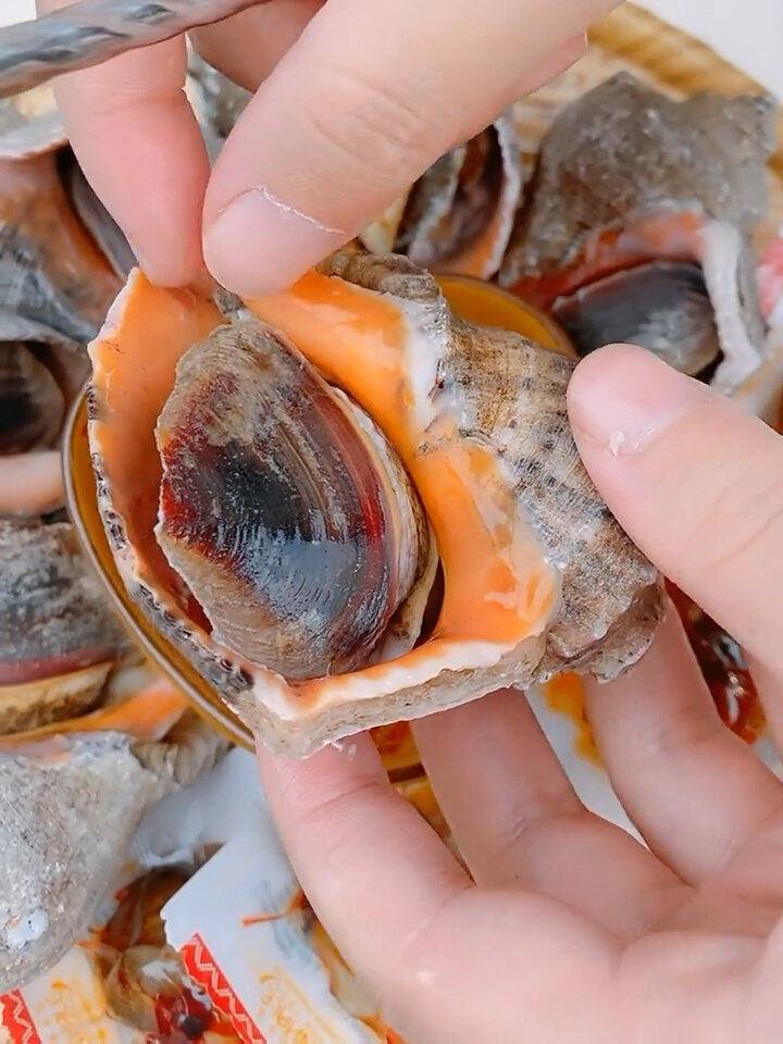 今天教大家如何正确海螺肉!