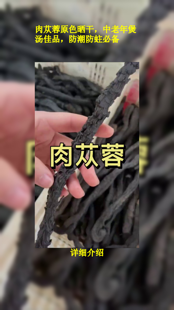 肉苁蓉原色晒干,中老年煲汤佳品,防潮防蛀必备