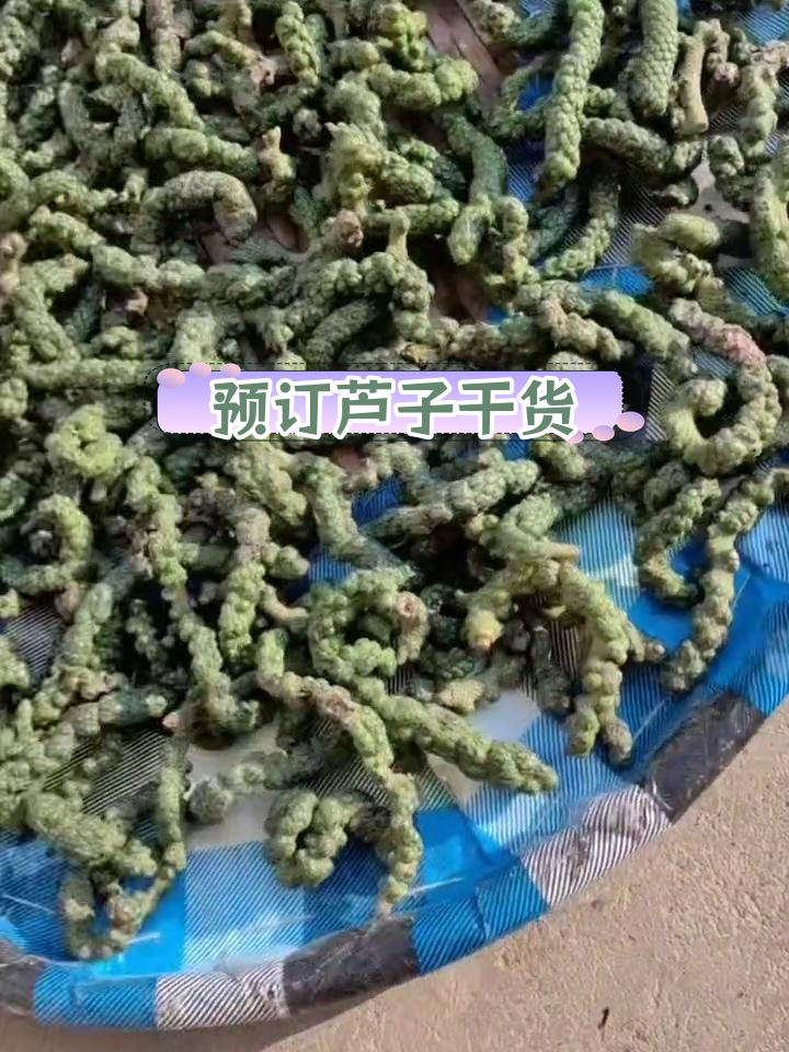 芦子干货预订中,备货紧张