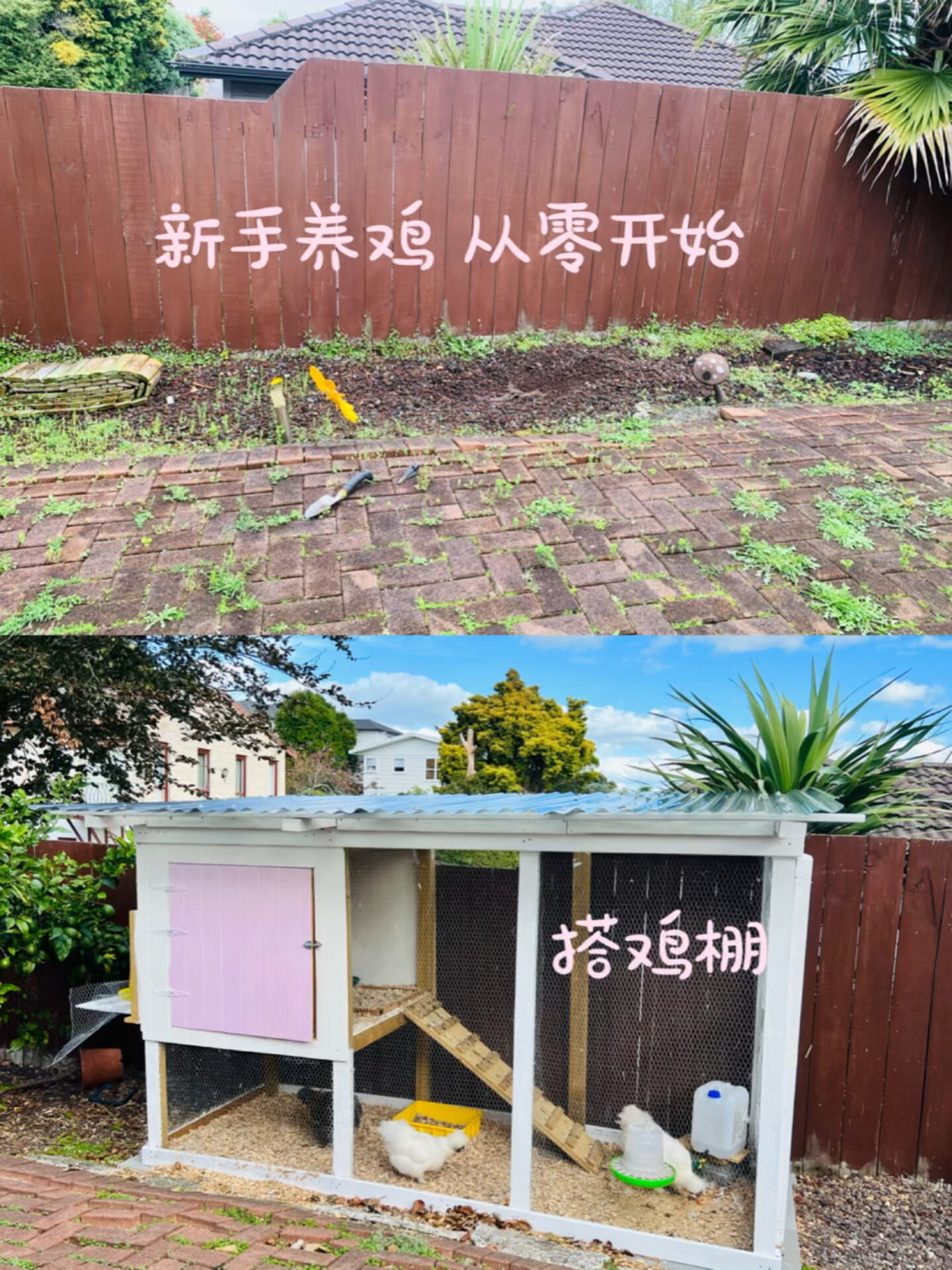 从零开始搭一个草莓冰激凌味的鸡棚-度小视