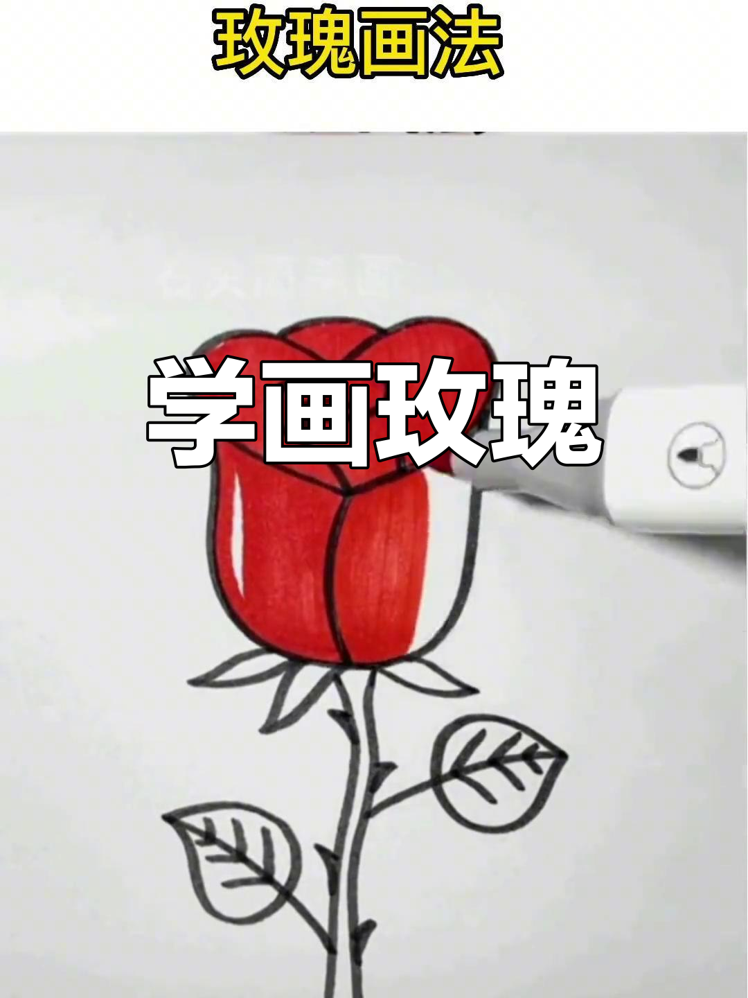 玫瑰花的画法步骤教程图片